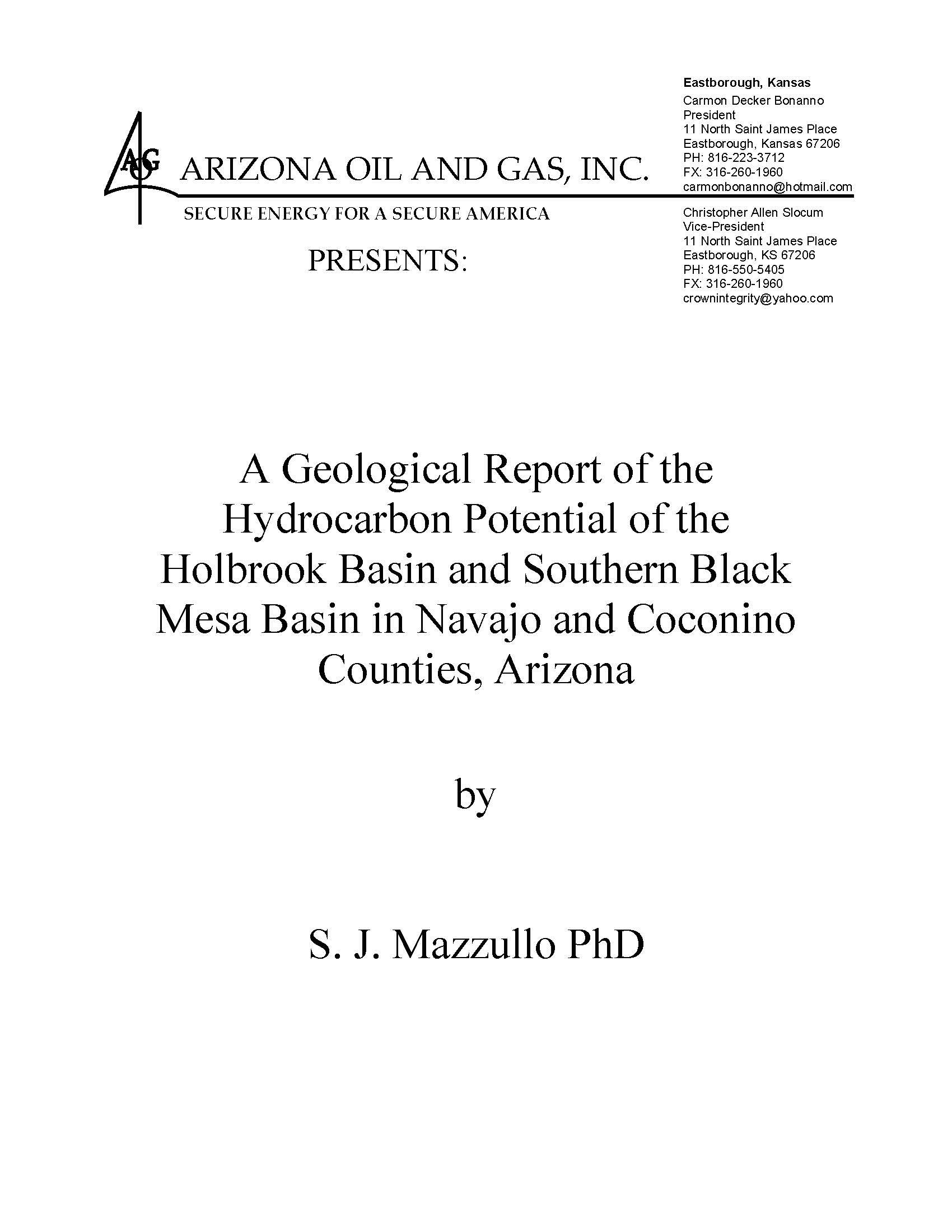 Holbrook Basin Petroleum Potential by S J Mazzullo